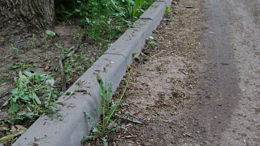 На Грабцевском шоссе уже год не подметают асфальт у жилого дома