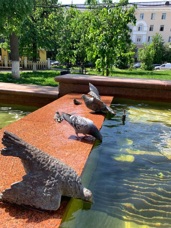 Калугу плавит: хроники знойного дня Калугу плавит: хроники знойного дня
