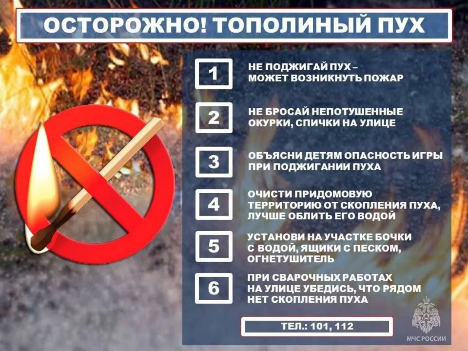 Не жгите тополиный пух, это может привести к пожару!
