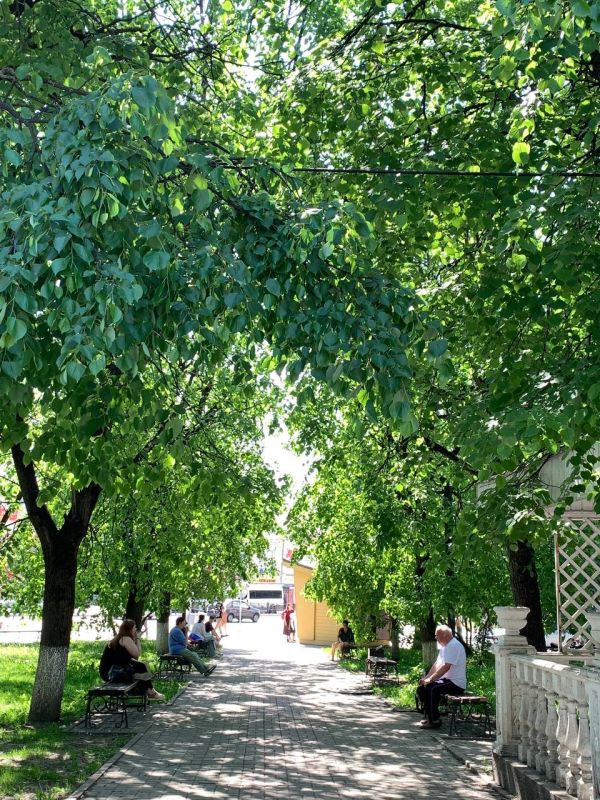 Калугу плавит: хроники знойного дня Калугу плавит: хроники знойного дня