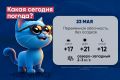 Доброе утро, калужане! Погода на утро и день 23 мая, а также в ночь с 23 на 24 мая