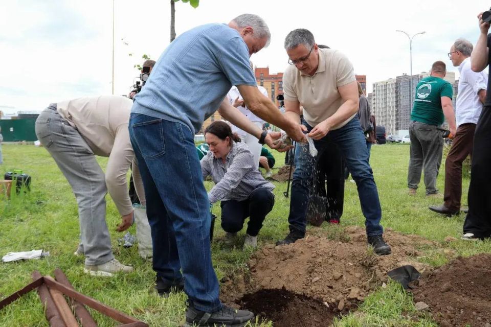 В микрорайоне Кошелев высадили около 80 лип В микрорайоне Кошелев высадили около 80 лип