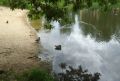 В Калужскую область придёт похолодание с дождями и грозами