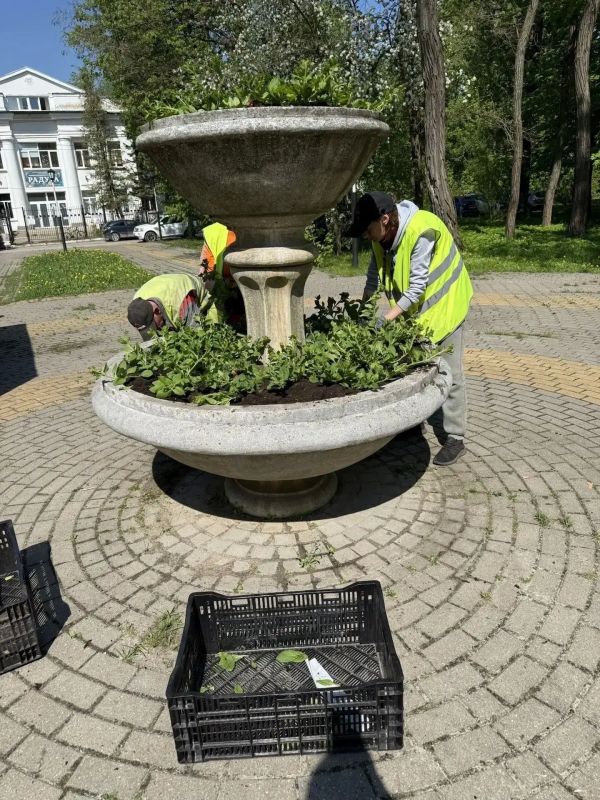 В Калуге высадили 7 074 цветов виолы и 11 тысяч цветов сурфинии В Калуге высадили 7 074 цветов виолы и 11 тысяч цветов сурфинии