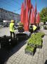 Более 18 тысяч цветов высадили в Калуге