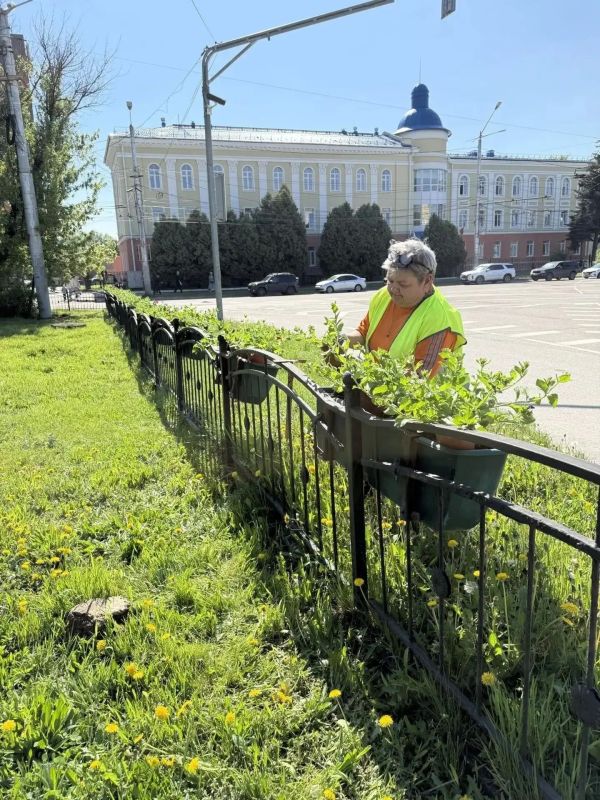 В Калуге высадили 7 074 цветов виолы и 11 тысяч цветов сурфинии В Калуге высадили 7 074 цветов виолы и 11 тысяч цветов сурфинии