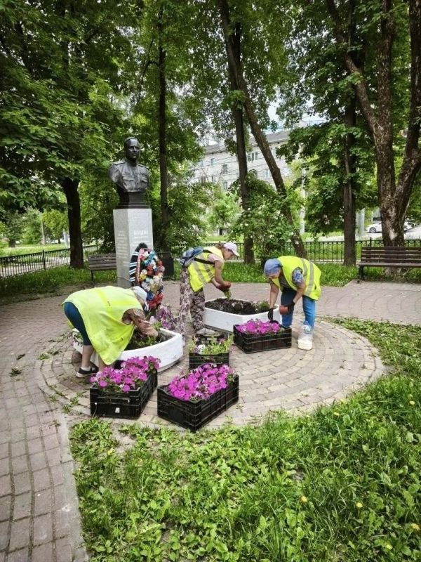 В Калуге высадили 7 074 цветов виолы и 11 тысяч цветов сурфинии В Калуге высадили 7 074 цветов виолы и 11 тысяч цветов сурфинии