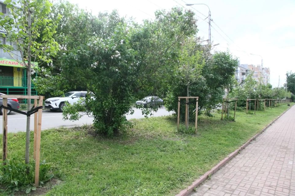 Как дела у новых деревьев в Калуге? Как дела у новых деревьев в Калуге?
