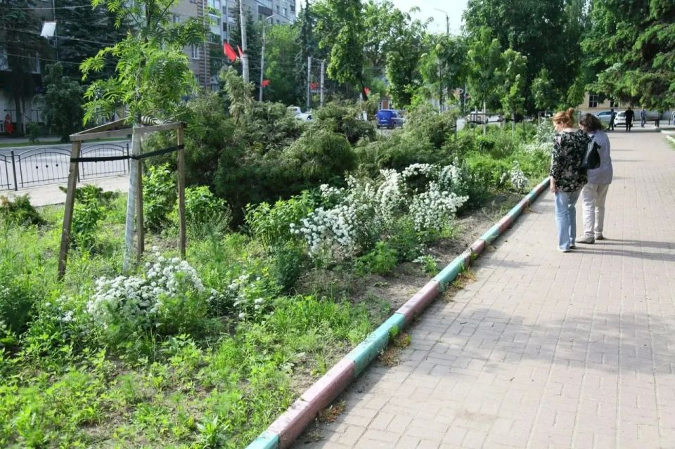В Калуге оценили приживаемость прошлогодних посадок