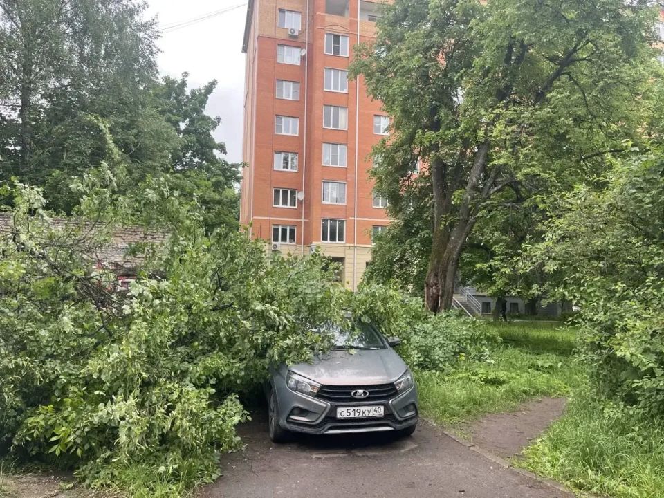 В Обнинске дерево упало на машины