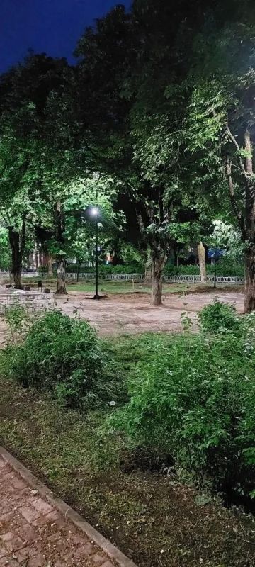 В Калуге обновили освещение сквера Ветеранов В Калуге обновили освещение сквера Ветеранов