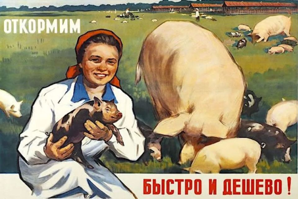В Калужской области началась кормозаготовительная кампания