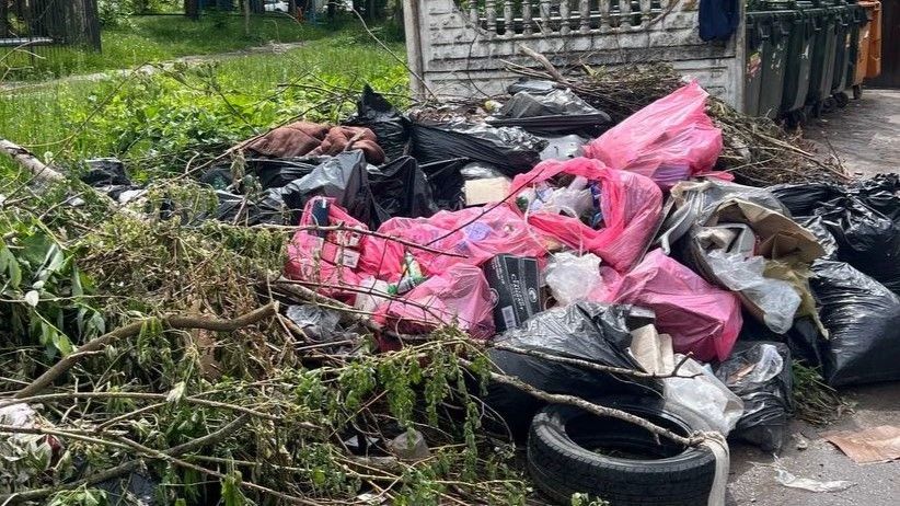 На улице Центральной вторую неделю лежит мусор