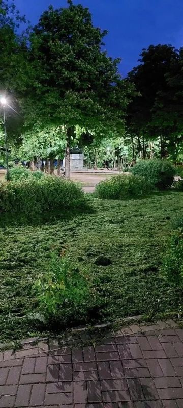 В Калуге обновили освещение сквера Ветеранов В Калуге обновили освещение сквера Ветеранов