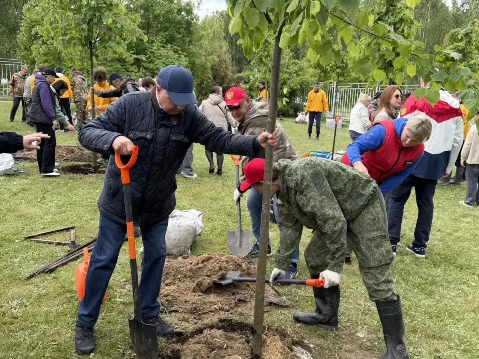 21 липу высадили в Хвастовичском округе 21 липу высадили в Хвастовичском округе