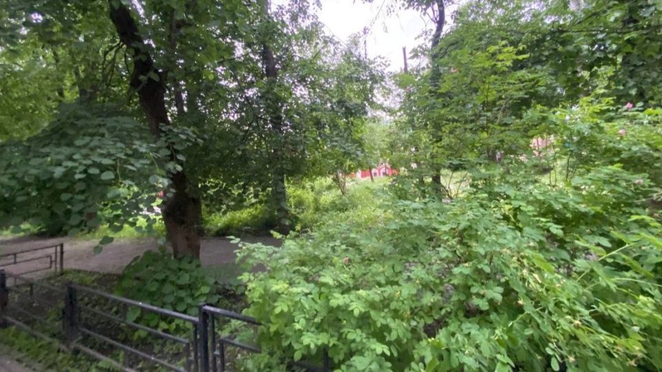 Палаты Коробова в Калуге зарастают кустами и больными деревьями