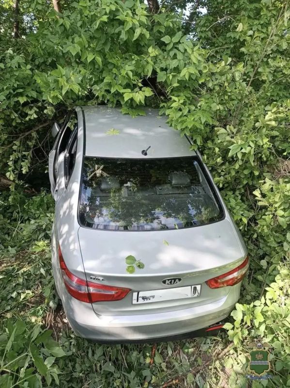 Водитель влетевшей в дерево легковушки погиб в Людиновском округе