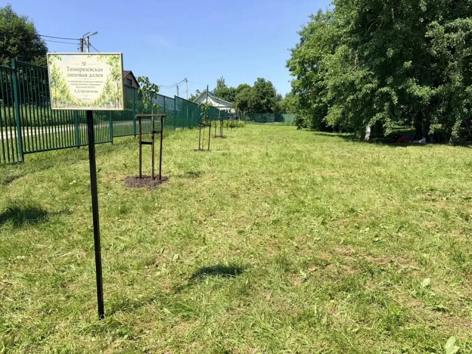 Тимирязевскую аллею высадили в Полотняном Заводе Тимирязевскую аллею высадили в Полотняном Заводе
