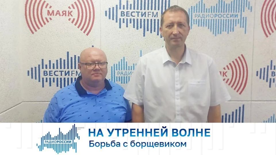 На утренней волне. Борьба с борщевиком