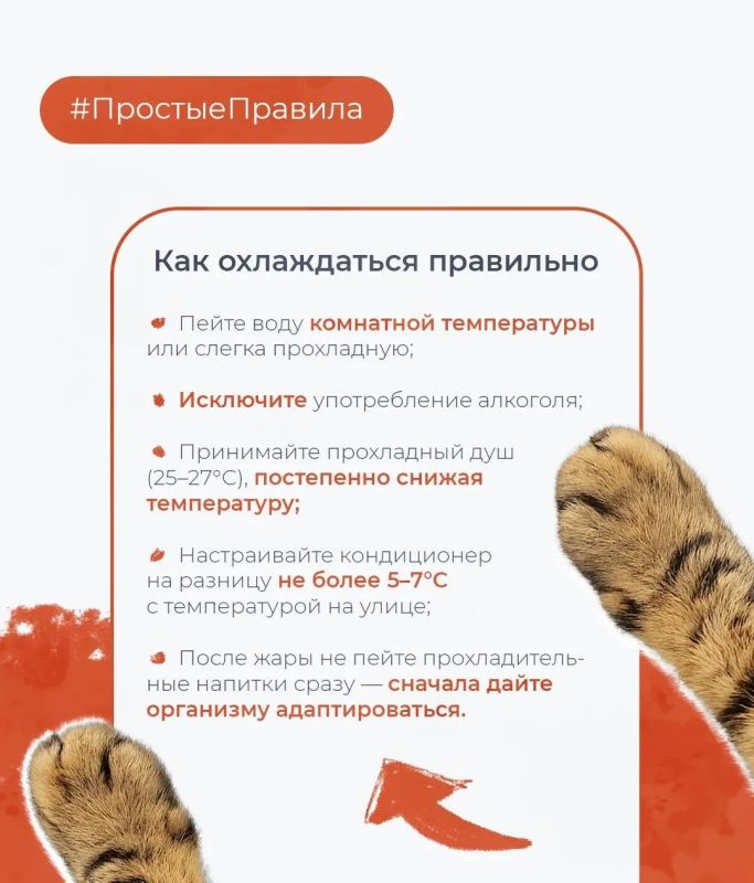 Чем опасен резкий холод в жару? Чем опасен резкий холод в жару?