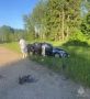 Оперативная сводка за 9 июня