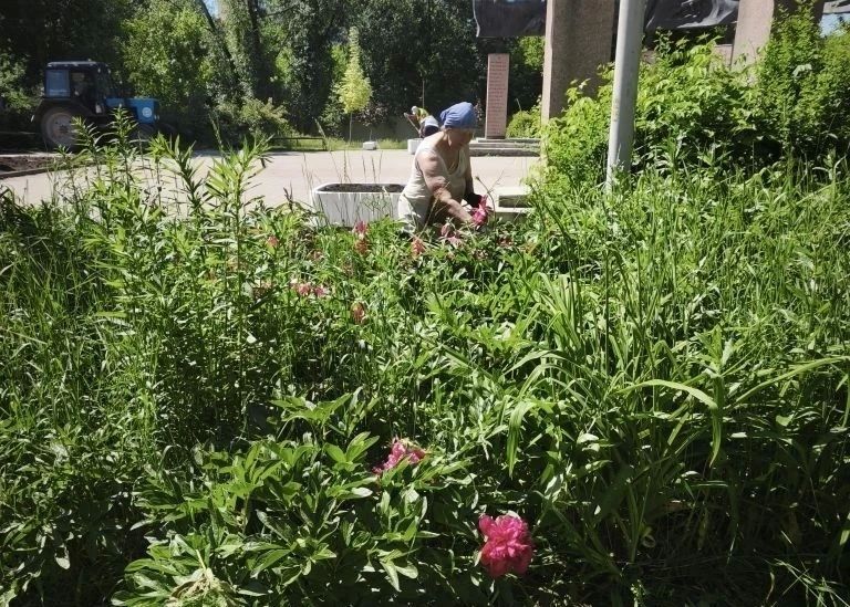 В сквере Жукова навели порядок В сквере Жукова навели порядок