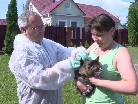 Домашних собак и кошек прививают от бешенства в пригородах Калуги