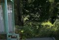 В Боровском районе автобусную остановку «спасли» от борщевика