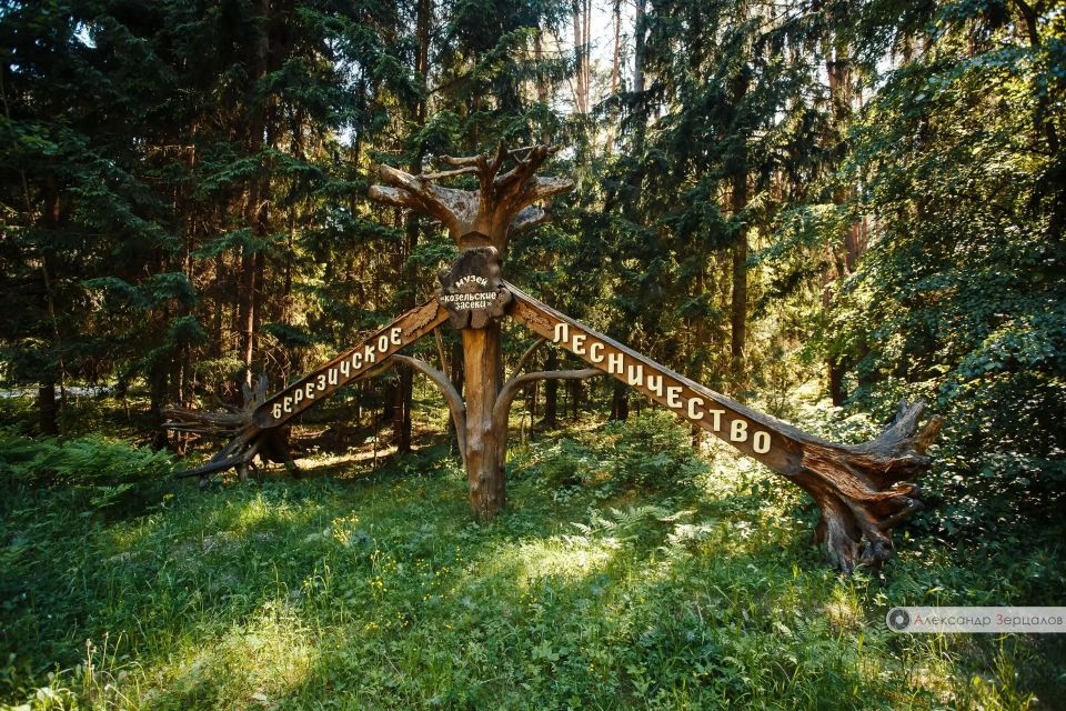 Выходные в Козельском районе Выходные в Козельском районе
