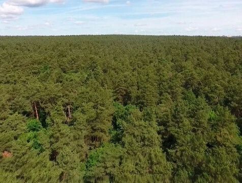 Уровень пожарной опасности понизился в Калужской области