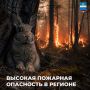 Сохраняем спокойствие и соблюдаем правила!