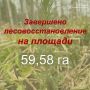 В Калужской области — зелёный прорыв!