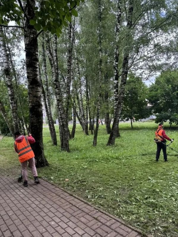 Дмитрий Денисов: Городские службы продолжают окос территорий Калуги, чтобы даже после дождливой погоды наш город выглядел опрятно Дмитрий Денисов: Городские службы продолжают окос территорий Калуги, чтобы даже после дождливой погоды наш город выглядел опрятно