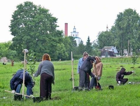 Сад усадьбе Гончаровых пополнился саженцами яблонь и груш