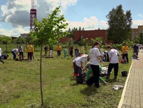 Тимирязевскую аллею высадили в Воротынске
