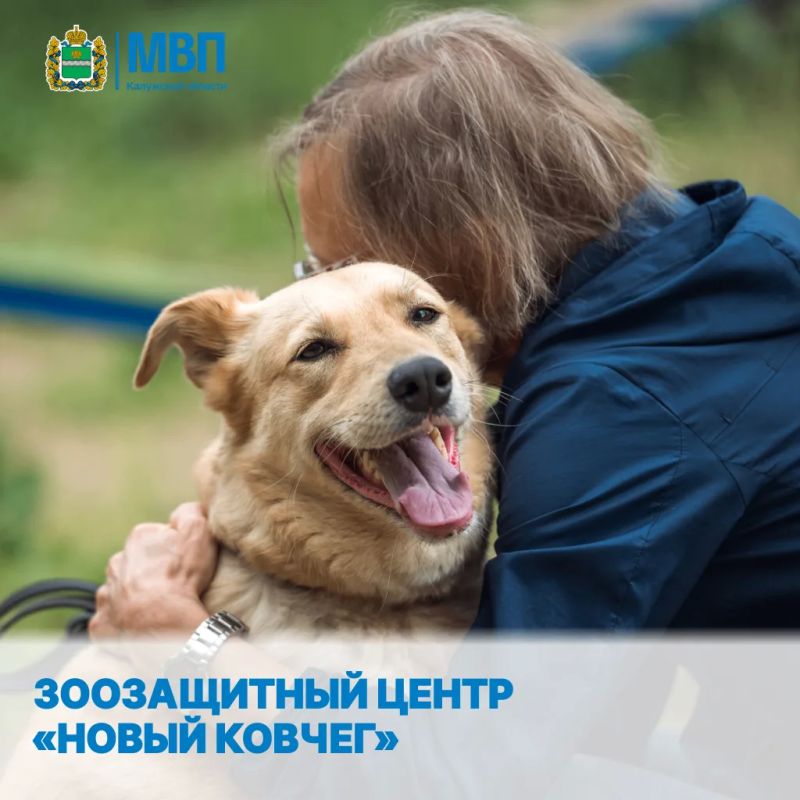 Калужская область покорила еще один рейтинг Калужская область покорила еще один рейтинг
