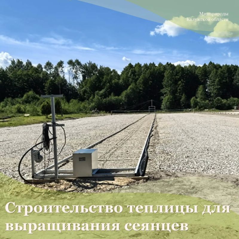 В рамках федерального проекта «Сохранение лесов» национального проекта «Экологическое благополучие» стартует важный этап — строительство тепличного комплекса для выращивания посадочного материала!