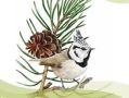 ��� 5 ����� �������� �������� �� ������� ����� ��������� �������