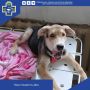 ����� ��� - ��������� �����, �� ������� ���� ������ �������� ������ ��������� � ���������� ������������ �������