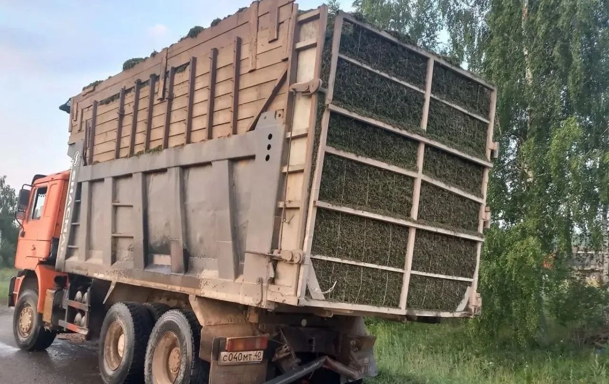 Двое человек погибли в ночной аварии на дороге Сухиничи-Козельск Двое человек погибли в ночной аварии на дороге Сухиничи-Козельск