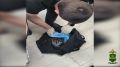 В Обнинске задержан молодой человек, обслуживавший сим-бокс в интересах дистанционных мошенников