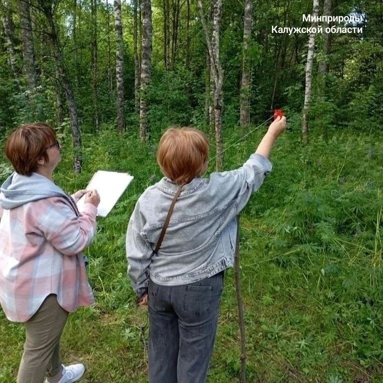 Завершилось обучение калужской делегации в рамках федерального проекта «Сохранение лесов» Завершилось обучение калужской делегации в рамках федерального проекта «Сохранение лесов»