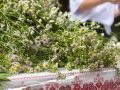 Счастье там, где семья. 5 июля в городском парке культуры и отдыха прошла торжественная церемония, посвящённая Дню семьи, любви и верности