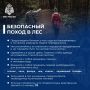 Безопасный поход в лес. Лес — это лучший способ перезагрузиться, но чтобы отдых не превратился в квест на выживание, важно помнить о простых правилах безопасности