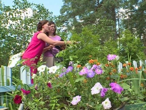 В Калуге выберут лучшие палисадники и цветущие микрорайоны