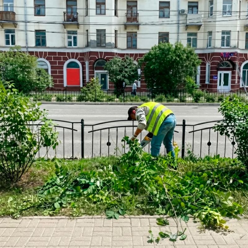 Городские службы ежедневно следят за порядком: убирают улицы, скверы и парки, высаживают цветы и ухаживают за зелёными насаждениями Городские службы ежедневно следят за порядком: убирают улицы, скверы и парки, высаживают цветы и ухаживают за зелёными насаждениями