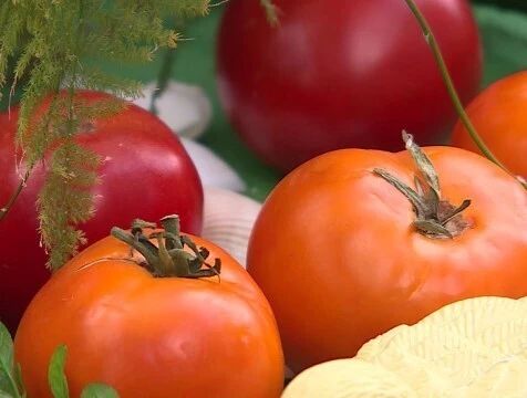 На 5,7% подешевели помидоры в Калужской области