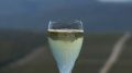 ������ ���������: Brut d�Or Riesling � ������ ��������