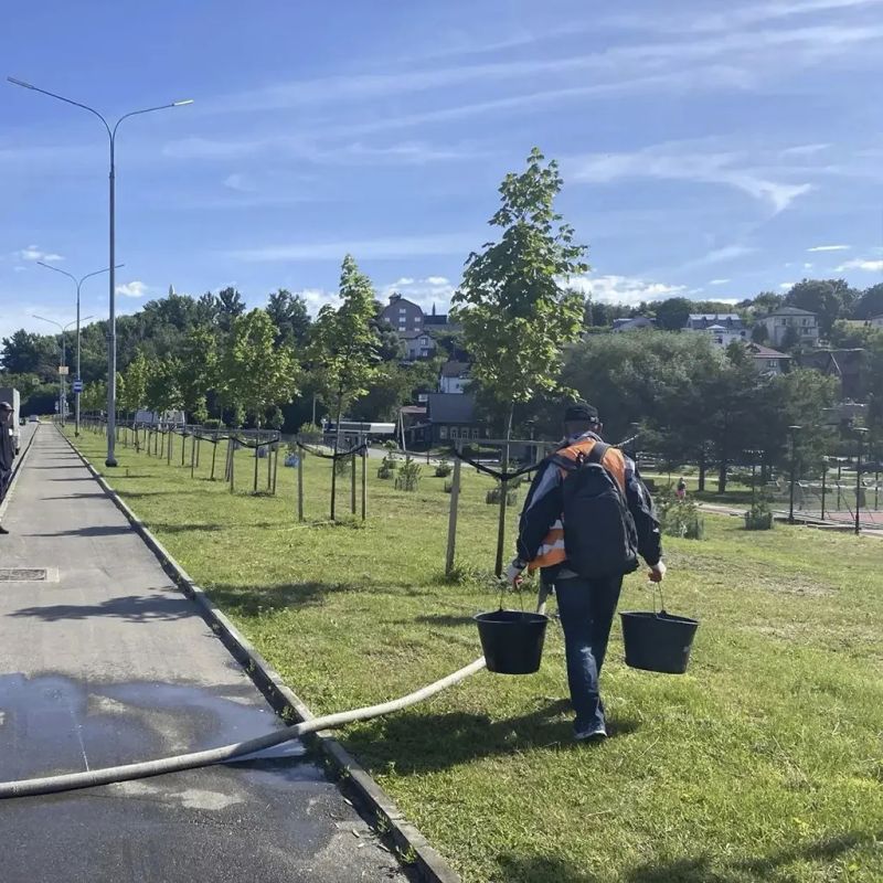 Городские службы ежедневно следят за порядком: убирают улицы, скверы и парки, высаживают цветы и ухаживают за зелёными насаждениями Городские службы ежедневно следят за порядком: убирают улицы, скверы и парки, высаживают цветы и ухаживают за зелёными насаждениями