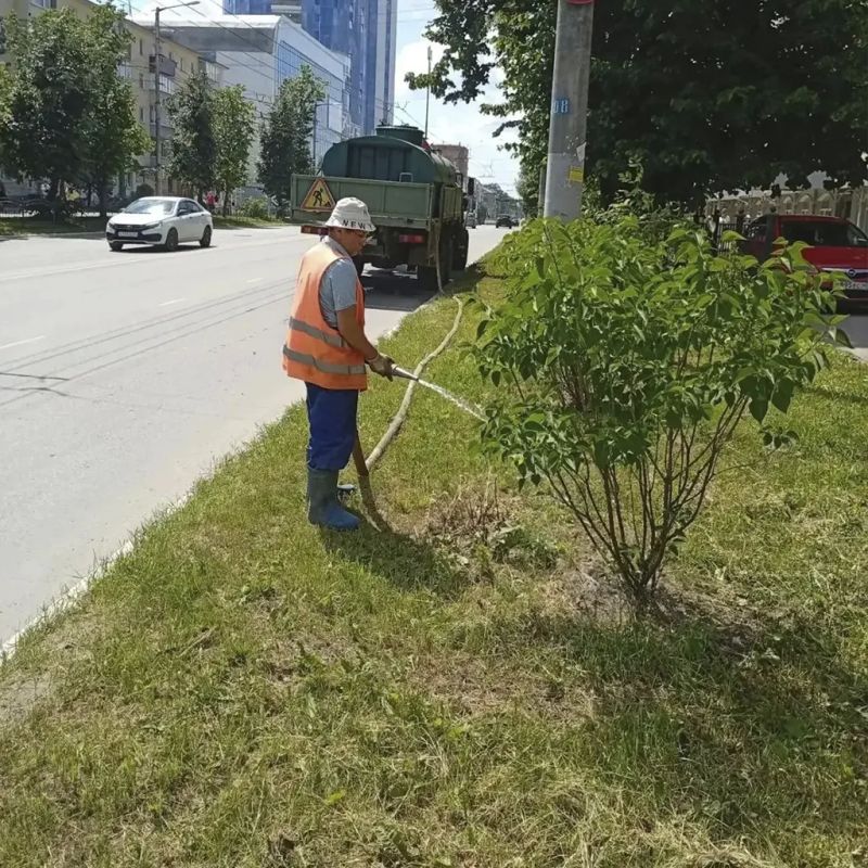 Городские службы ежедневно следят за порядком: убирают улицы, скверы и парки, высаживают цветы и ухаживают за зелёными насаждениями Городские службы ежедневно следят за порядком: убирают улицы, скверы и парки, высаживают цветы и ухаживают за зелёными насаждениями